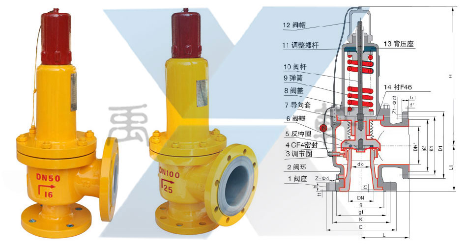 A42F46-16C-DN20衬氟安全阀(图1)